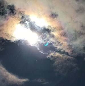 Meet your Posher, Cecilia